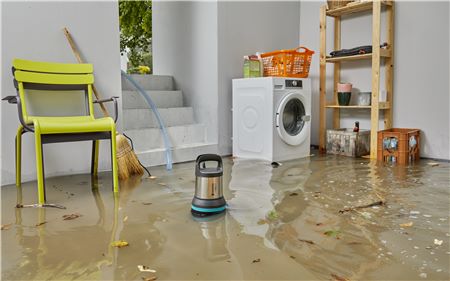 Работа без вреда для окружающей среды